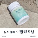 뉴트리에스 | [불면증에 좋은 선물] 뉴트리에스 식물성 멜라토닌 꿀잠 후기 ♥
