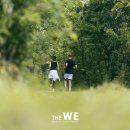 제주 할리데이 이미지