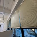 미드미(midmi) 이미지