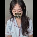 컬링헤어 | 여름 잔머리·앞머리 정리, 제이숲 헤어 3종으로 끝!｜컬링에센스 솔직후기