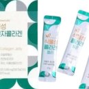 씨드네이쳐