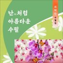 난처럼 아름다운 수필 / 최택만 수필집 (전자책) 이미지