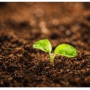 3원-天,地,人 이미지