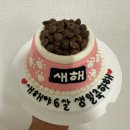 펫브로(Pet Bro) 이미지