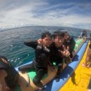 한영할인마트 | 탱규의 세부여행 3박5일 2탄 🚢⚓️🍻🍹🥃🤿🐠_ 골드호핑 세부시티 래디슨블루 sm몰