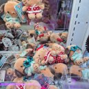 지지게임존 이미지