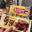 대병중학교 | 합천 더글래드 글램핑 깨끗하고 따뜻한 글램핑장 추천 가격 이용후기 이용꿀팁