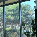 큐사랑 서재점 | wedding | 국회의사당 사랑재 여름 야외웨딩 솔직 하객 후기💌