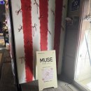 뮤즈노래방 | 신대방 파티룸 뮤즈파티룸 내돈내산 리얼후기