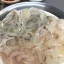 오투정거장