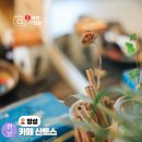 홍길동테마파크 관광지 | 장성호 수변길 관광지 황룡강생태공원 카페 산토스