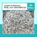 애물단지 ‘굴 껍데기’의 화려한 변신... 에코쉘, 남부발전에 ‘고순도 친환경 탈황제’ 대량 공급