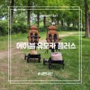 쌍둥이 트라이크 씨투엠뉴 에이블 유모카플러스 내돈내산 후기, 연년생 휴대용유모차 추천