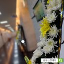 서울장례식장 | 강북구 장례식장 정보, 서울좋은병원장례식장 후기
