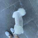 설리와카라반펜션 이미지