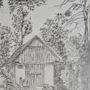 선화양봉 이미지