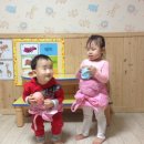 캥거루 동물병원 이미지