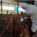 경남가축약품 이미지