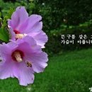 신미향 이미지