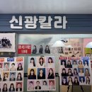 신광칼라