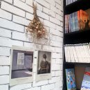 양덕동451 | [포항여행/북구여행] 독립서점 리본책방 솔직후기