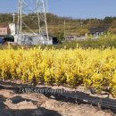 (주)황금농장 이미지