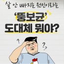 살 안빠지는 원인이라는 "뚱보균"이란? 이미지