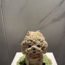 두몽언니