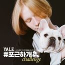 💙🐶예일(YALE) X 툭(TUUK) 콜라보 한정상품 체험단 모집 이벤트🐶💙 이미지