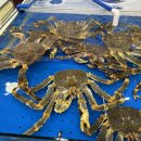 농수산물도매시장_동 이미지