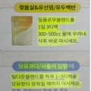 법인구례팜