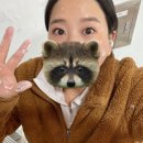 임팩트 도량점 이미지