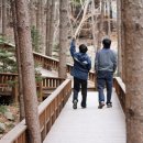 국립산음자연휴양림 이미지