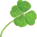 한잎클로버 이미지