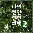 진천읍 보련마을~보탑사주차장 가로수 | 나의 천안 진천 여행 2