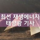 전력도매가 상한제 한전 눈덩이 적자엔 새발의 피 태양광기사 이미지