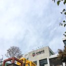 어린이 뮤지컬 <구구> 이미지