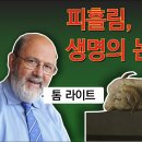 성경에서 이미지 찾기 05. 보혈: 생명의 논리 이미지