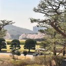 (주)굿프렌즈 | 벚꽃 골프장 태광CC 경기도 골프장 중 최고!