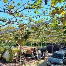 하랑캠핑장 이미지