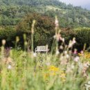 남해소담 이미지