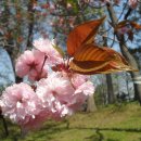 큰빛자연생태어린이집 이미지