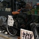코히 이미지
