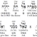 코드쉬