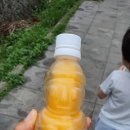 외돌개휴게소슬러쉬 네이버블로그