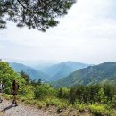 김삿갓면-30 이미지