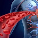 더 세이짐 이미지