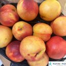 척강의원 이미지