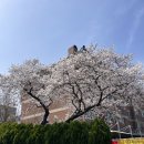 박순옥밀면명가