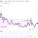(주)에스티코리아 이미지